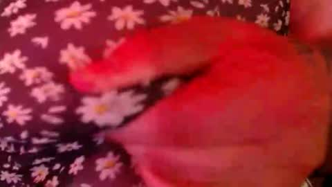 Snapshot of hollychilling chatting on March 10, 2026, 1:21 am Holly Dragonfly Girly online show from March 10, 2026, 1:21 am