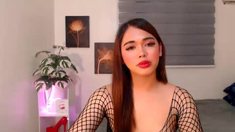 Snapshot of hollywoodstareme chatting on July 11, 2026, 8:44 pm hollywoodstareme online show from July 11, 2026, 8:44 pm