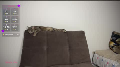 Vio online show from March 1, 2025, 8:21 pm