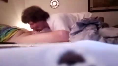 Snapshot of homer4038 chatting on February 18, 2025, 4:26 am Sebastians Mess online show from February 18, 2025, 4:26 am