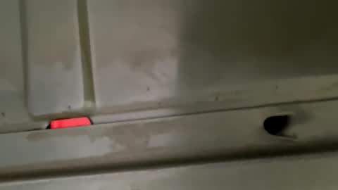 Snapshot of hondodeasy chatting on February 25, 2026, 2:16 pm hondodeasy online show from February 25, 2026, 2:16 pm