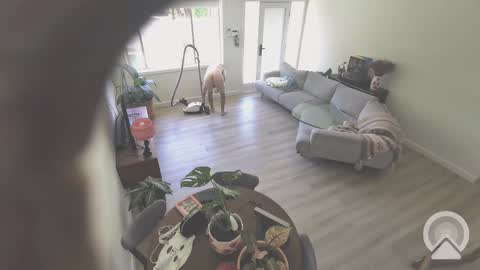 hopefulguy86 online show from February 17, 2025, 1:15 am