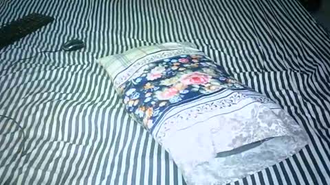 AMANI online show from January 15, 2025, 8:09 am