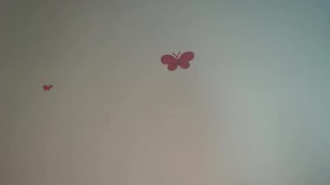 Iris online show from April 4, 2026, 8:28 pm