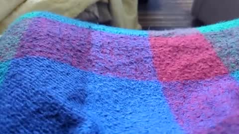 Snapshot of hornyallthetime6969696969 chatting on January 11, 2026, 10:26 pm Tiny cock online show from January 11, 2026, 10:26 pm