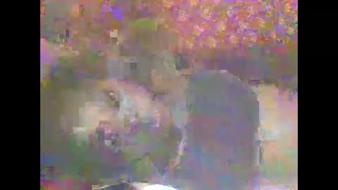 hornygal001 online show from April 8, 2026, 5:07 am