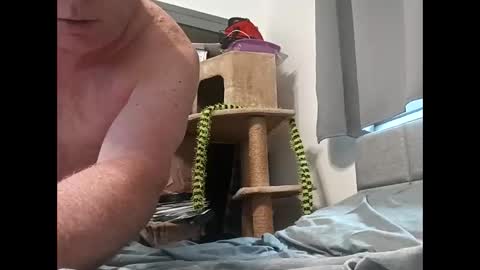 Snapshot of hornyman6942842 chatting on December 13, 2025, 8:04 pm hornyman6942842 online show from December 13, 2025, 8:04 pm