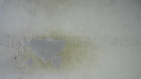 Snapshot of hornyslut_xx chatting on February 25, 2026, 11:58 pm Bella online show from February 25, 2026, 11:58 pm