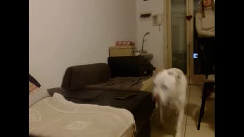 Hornyssima online show from January 12, 2025, 5:01 pm