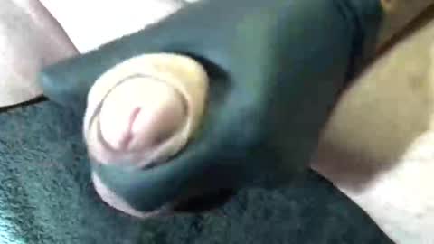 horse_dick9 online show from September 11, 2025, 11:43 am