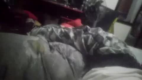 Snapshot of horsebrowm chatting on January 1, 2025, 11:29 pm horsebrowm online show from January 1, 2025, 11:29 pm