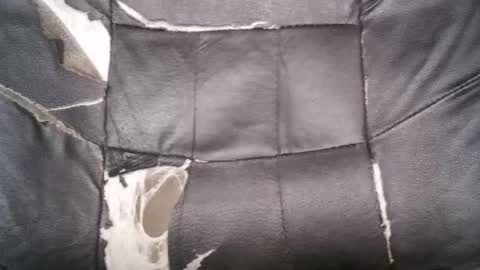 Snapshot of horsecockboy21 chatting on March 1, 2026, 7:54 am horsecockboy21 online show from March 1, 2026, 7:54 am