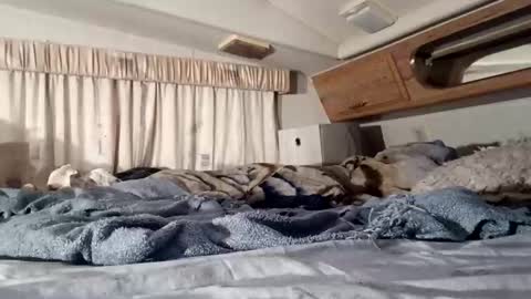 HotAmyMike online show from November 11, 2025, 2:39 pm