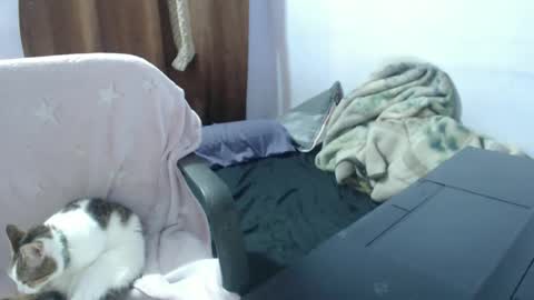 Snapshot of hotandpower10 chatting on November 14, 2025, 3:49 am Hot and PowerHOPE U MISS ME online show from November 14, 2025, 3:49 am