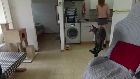 Hikikomori Alex online show from December 24, 2024, 9:50 am