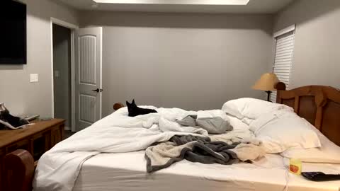 Snapshot of hottiewithabody101 chatting on November 11, 2025, 6:30 pm hottiewithabody101 online show from November 11, 2025, 6:30 pm