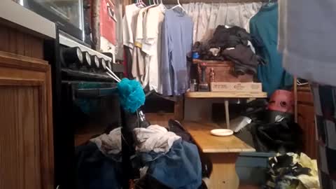 houndmefromhell online show from December 2, 2024, 10:50 am