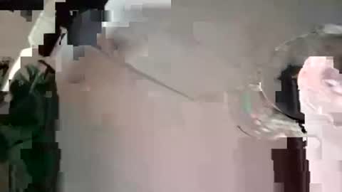 houndmefromhell online show from December 4, 2024, 7:45 pm