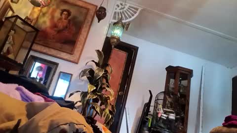 houndmefromhell online show from March 5, 2025, 9:59 pm