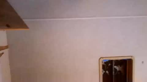 houndmefromhell online show from October 2, 2025, 6:31 am