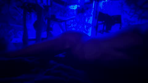 ask me online show from June 11, 2026, 3:04 am