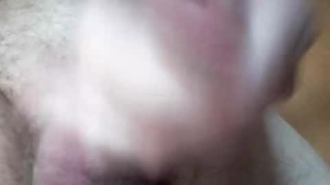 hrubesch2019 online show from October 26, 2025, 10:54 am