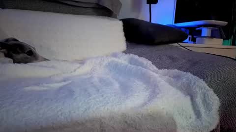 Hugo online show from February 14, 2025, 8:26 pm