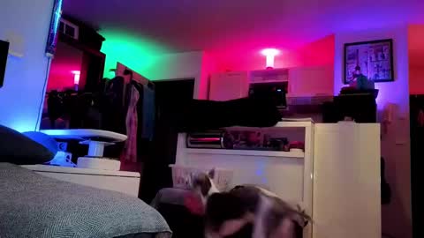 Hugo online show from February 25, 2025, 8:41 pm