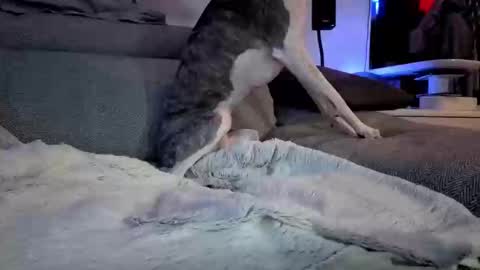 Hugo online show from March 10, 2025, 8:12 pm