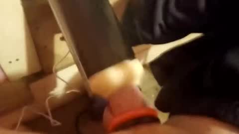 hungfudiver online show from December 15, 2025, 5:23 am