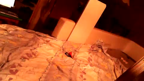 Snapshot of hungryanalslut chatting on February 18, 2025, 10:58 pm hungryanalslut online show from February 18, 2025, 10:58 pm