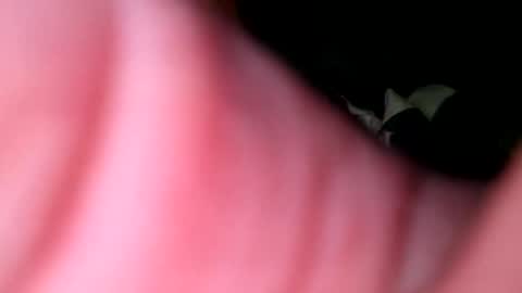 hunk1987_ online show from April 27, 2026, 4:32 am