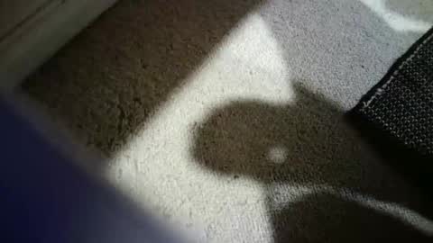 Snapshot of hypeman2323 chatting on February 14, 2026, 3:58 am Hypeman online show from February 14, 2026, 3:58 am