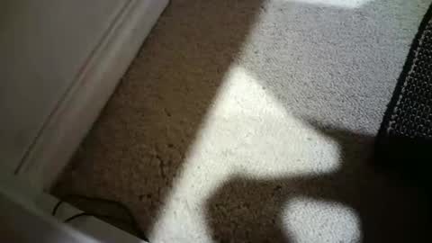 Snapshot of hypeman2323 chatting on February 18, 2026, 8:32 am Hypeman online show from February 18, 2026, 8:32 am