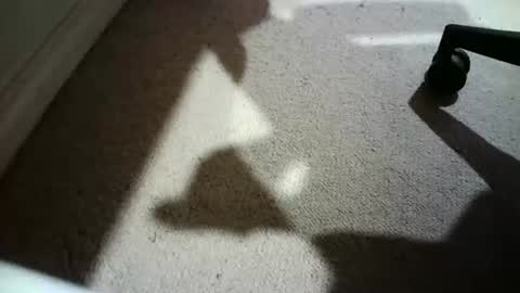 Snapshot of hypeman2323 chatting on February 24, 2026, 6:00 am Hypeman online show from February 24, 2026, 6:00 am