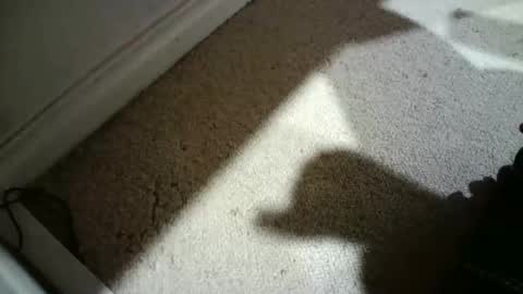 Snapshot of hypeman2323 chatting on February 26, 2026, 6:23 am Hypeman online show from February 26, 2026, 6:23 am