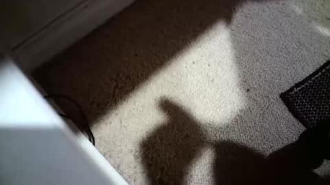 Snapshot of hypeman2323 chatting on April 12, 2026, 5:23 am Hypeman online show from April 12, 2026, 5:23 am