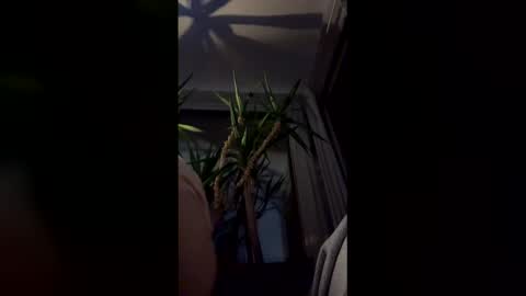 Snapshot of hypervenom369888 chatting on March 7, 2026, 2:08 am hypervenom369888 online show from March 7, 2026, 2:08 am