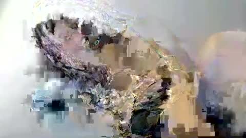 cant get you out of my head online show from February 12, 2025, 1:59 pm