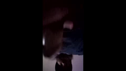 Snapshot of iamchango chatting on March 14, 2026, 3:28 pm iamchango online show from March 14, 2026, 3:28 pm