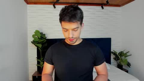 Snapshot of ian_davis chatting on February 9, 2025, 8:13 pm Ian Davis online show from February 9, 2025, 8:13 pm