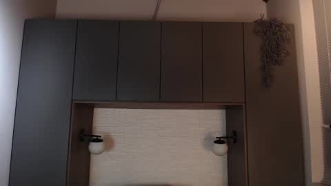 Snapshot of ian_davis chatting on February 28, 2025, 11:56 pm Ian Davis online show from February 28, 2025, 11:56 pm