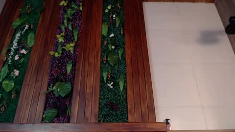 Snapshot of ian_davis chatting on March 4, 2025, 7:54 pm Ian Davis online show from March 4, 2025, 7:54 pm