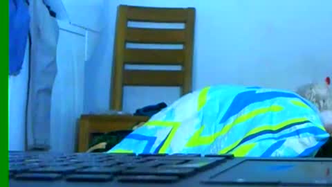 Snapshot of ian_zaenzz chatting on January 26, 2025, 3:27 am Samuel igsamuelnoguera 1333 online show from January 26, 2025, 3:27 am