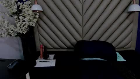 Snapshot of ibbie_ chatting on January 9, 2026, 12:08 pm ibbie_ online show from January 9, 2026, 12:08 pm