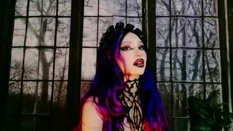 Snapshot of icefoxshadow chatting on May 22, 2026, 11:54 pm onlif4ns lizzy dolly online show from May 22, 2026, 11:54 pm