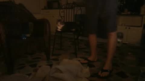 idksohorny online show from December 21, 2024, 6:41 am