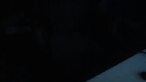 idksohorny online show from January 24, 2025, 8:55 am