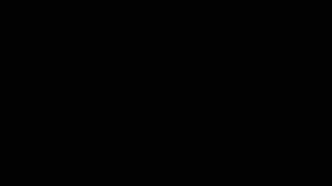 idksohorny online show from February 15, 2025, 7:38 am