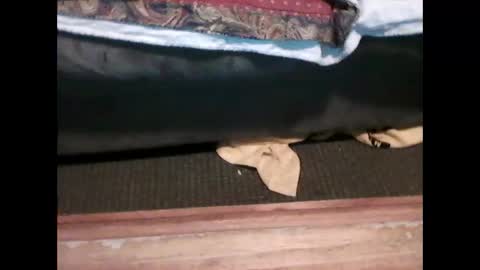 Snapshot of idkwhyidothis348732 chatting on January 5, 2025, 6:02 pm idkwhyidothis348732 online show from January 5, 2025, 6:02 pm